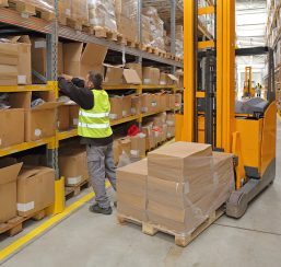 Worker Order Picking in Fulfillment Warehouse