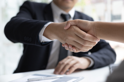 Professionals shaking hands